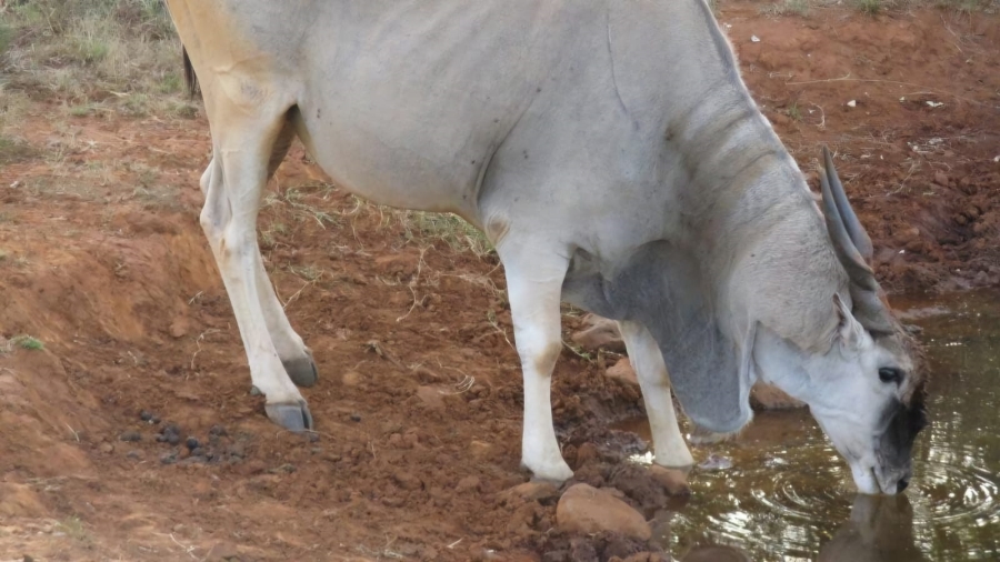 Commercial Property for Sale in Barkly West Rural Northern Cape